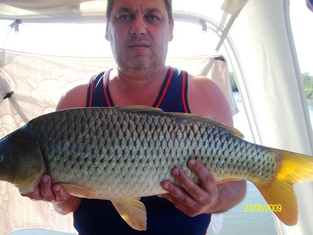 delta rosu 2009 - sany6792.JPG